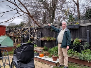 'Dangerous' tree issue unresolved as council 'can't trace' landowner